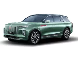 Hongqi E-HS9