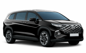 Hyundai Custin